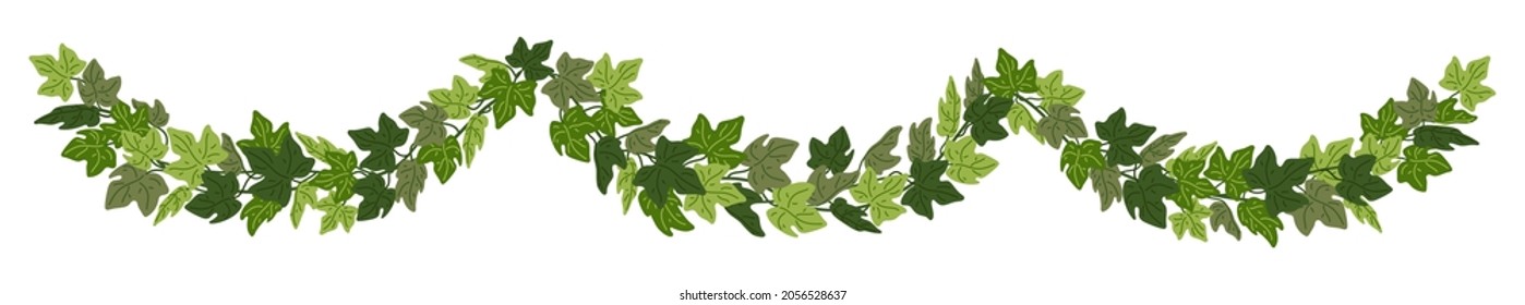 Ivy festoon, green creeper decorative border isolated on white background. Vector illustration in flat cartoon style