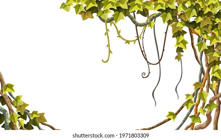 Ivy frame. Liana branches and tropical leaves. Game cartoon poster of creeper jungle. Isolated vector hedera  helix on white background.