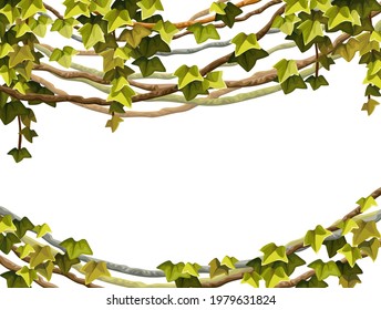 Ivy frame. Liana branches and tropical leaves. Game cartoon poster of creeper jungle. Isolated vector hedera  helix on white background.