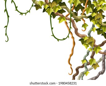 Ivy frame. Liana branches and tropical leaves. Game cartoon poster of creeper jungle. Isolated vector hedera  helix on white background.