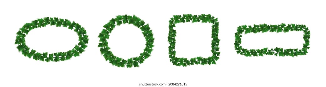 Ivy frames, climbing vine with green leaves of creeper plant. Round, rectangular and square hedera borders isolated on white background. Design elements for invitation decor, Realistic 3d vector set