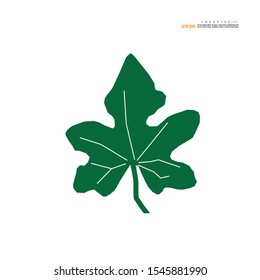 Ivy gourd (Coccinia grandis), or Kowai, medicinal plant.vector illustration.