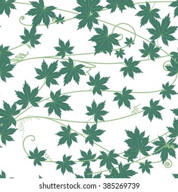 Ivy Gourd seamless pattern background,Vine pattern