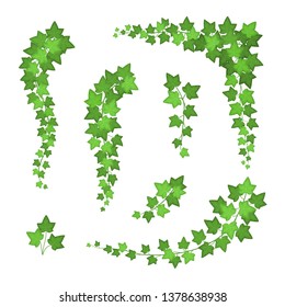 Ivy Green Leaves Different Types Set Decorative Ornament Elements, Corner, Border or Frame. Vector illustration of Branches