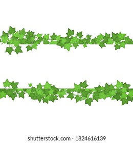 Ivy Green Leaves Different Types Set Decorative Ornament Element Line Vector Illustration Of Branches