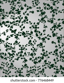 Ivy, green leaves on a gray background. Vector illustration.
