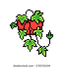 Ivy (Hedera helix) in a pot, pixel art icon isolated on white background. 8 bit decorative houseplant. Home/office interior design element. Old school vintage retro slot machine/video game graphics.