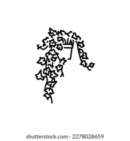 Ivy houseplant black line icon. Indoor decorative plant. Pictogram for web page, mobile app, promo.