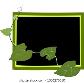 Ivy leaf gourd frame , simple vector illustration painting, flat for a separate background, decorated, complementary, natural green concept and hand drawn leaves isolated on a white background