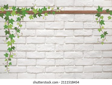 Ivy leaf ivy hanging background frame