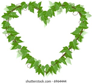 Ivy Leaf heart design element, Vector
