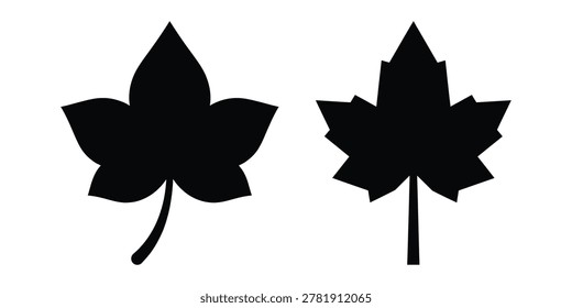 Ivy leaf icon silhouette vector isolated illustration design