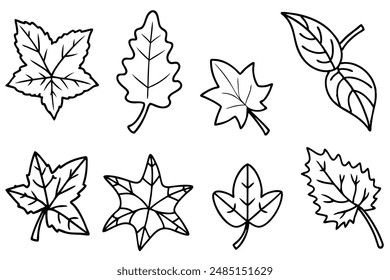 Efeu Blatt Linie Kunst Design Illustration elegantes Design