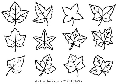 Ivy leaf line art design illustration botanical elegance