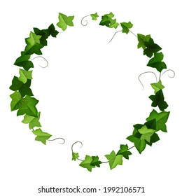 Ivy leaf round vector frame, green liana wreath, floral climbing plant illustration isolated on white. Nature creeper greenery branch, spring decoration element. Cartoon ivy vector twig botany clipart