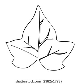ivy leaf in sketch vector single or continuous line art
