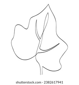 ivy leaf in sketch vector single or continuous line art
