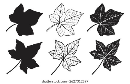 Ivy Blatt Vektor Set - Silhouette, Umriss und Linie Art Style
