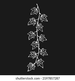 Ivy leaves. Hand drawn illustration converted to vector.