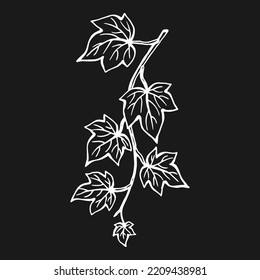 Ivy Leaves Hand Drawn Illustration Converted Stock Vector (Royalty Free ...