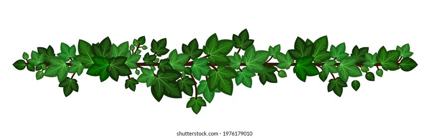 Ivy leaves wreath liana. Green ivy branch garland isolated on white background. Decorative design element in cartoon style. Vector illustration