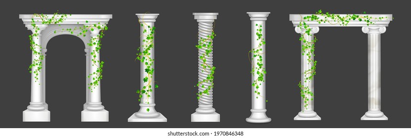 Ivy on marble columns and arches, vines with green leaves climbing on antique stone pillars, creeper plant on decorative greek or roman architecture design elements, Realistic 3d vector illustration