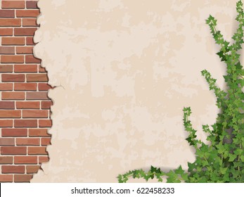 Ivy on weathered wall background with brick masonry.  Vector realistic illustration.