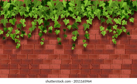 Fondo vectorial de marfil, textura de pared de la casa de ladrillo rojo, hoja de vid escalada, ilustración de vegetación de jardín. Marco de arquitectura florida, ramita colgante. Baldosas de piedra, hiedra verde