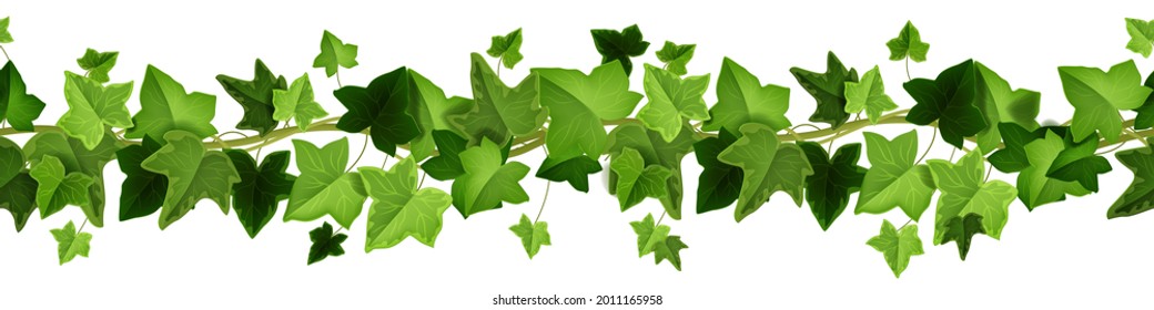 Ivy Plant Vector Green Seamless Border Stock Vector (Royalty Free ...