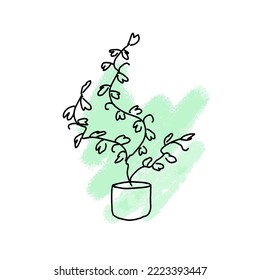 Ivy in a pot on the background of a green paint spot.Doodle potted flowers on a background of paint stains. Vector doodle on the background of a paint spot.