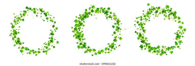 Ivy Round Frames, Climbing Vine Circle Borders With Green Leaves Of Creeper Plant. Hedera Branches Isolated On White Background. Design Elements For Decoration, Realistic 3d Vector Illustration, Set