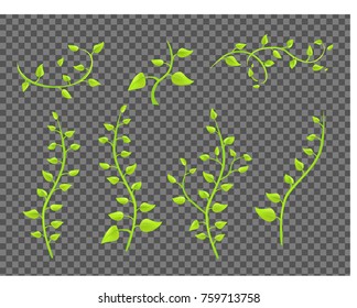 ivy twigs with leaves on a transparent background vector
