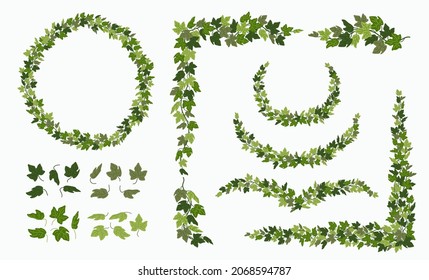 Ivy vector vines and wreaths, and decorative elements made of green leaves, isolated on white background. Vector illustration in flat cartoon style.