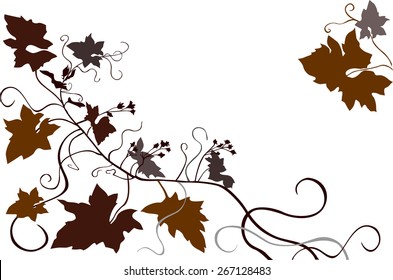 Ivy vine