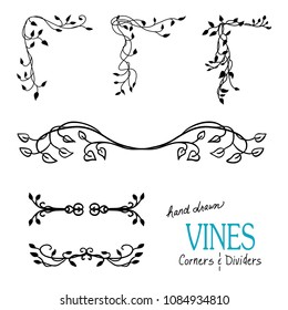 Ivy and vine design elements with flourishes curls and swirls for border corners and underline dividers and are hand drawn vector illustrations for wedding and Victorian decorations.