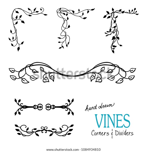 Ivy\
and vine design elements with flourishes curls and swirls for\
border corners and underline dividers and are hand drawn vector\
illustrations for wedding and Victorian\
decorations.