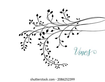 Ivy vine design vector, floral wedding design or nature illustration, elegant fancy border design of leaves in hand drawn sketch vector