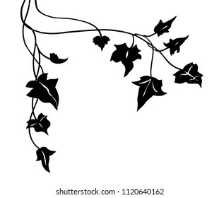 ivy vine silhouette vector, elegant black floral decorative border or corner design element of leaves in pretty layout, wedding invitation decoration isolated on white background