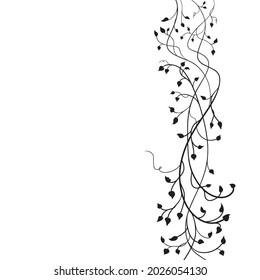 ivy vine silhouette vector; elegant decorative border design element of leaves in pretty layout, hand drawn sketch of fancy doodle of branches or climbing plants and leaves