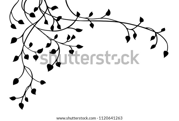 白い背景にツタのシルエット ベクター画像 エレガントな黒い花柄の装飾的な縁取り または美しいレイアウトの葉のコーナーデザインエレメント 結婚式の招待のデコレーション のベクター画像 素材 ロイヤリティフリー
