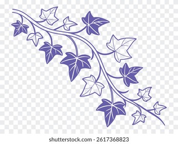 Ivy vine vector design with elegant curling branches and detailed leaves in outline style, perfect for natural borders, botanical patterns, garden themes, or decorative corner elements.
