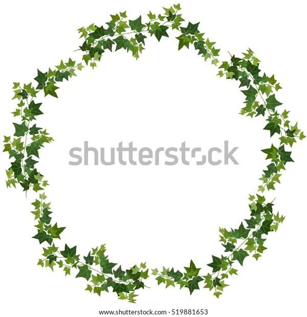 Ivy Vines Stock Vector (Royalty Free) 519881653