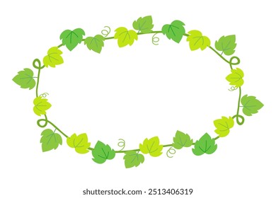 Ivy vines quadro elipse isolado no fundo branco.