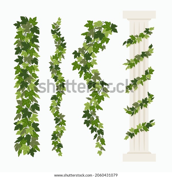 Ivy vines, and a greek antique column entwined with\
ivy, elements isolated on white background. Vector illustration in\
flat cartoon style