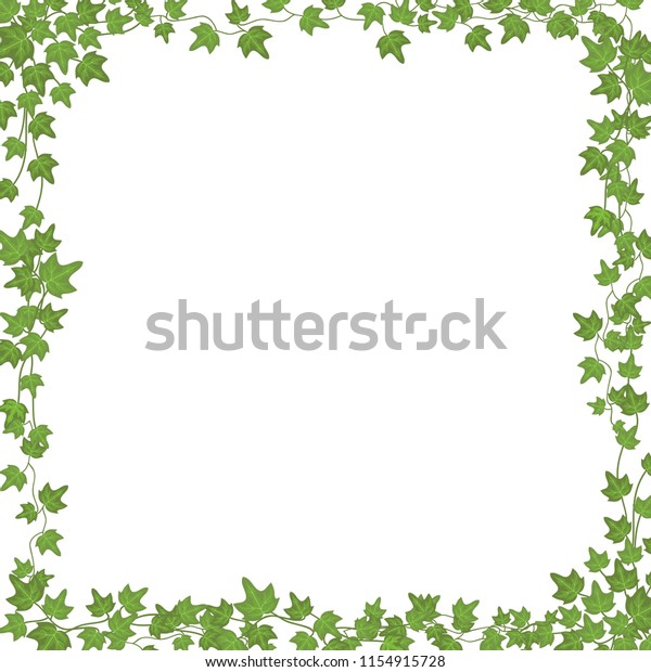 Ivy Vines Green Leaves Floral Vector Stock Vector (royalty Free 