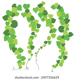 Ivy Vines stretched out on a white background. Plant, green vector illustration.