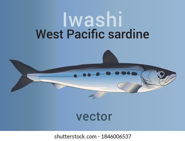 Iwashi, label, stylistic image of West Pacific sardine