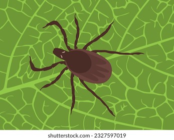Ixodes escapularis en hojas verdes. garrapata de ciervo o garrapata de piernas negras en un estilo plano. El parásito tiene un ciclo de vida de dos años, larva, ninfa y adulto. Acercamiento. Ilustración de vectores aislada
