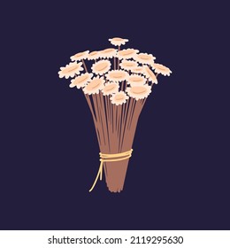 Ixodia flowers bunch. Wild floral plants bouquet with small gentle blooms on dry stems. Elegant delicate wildflowers tied with string. Isolated botanical flat vector illustration