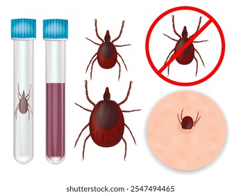 Ixodida ou carrapatos. Encefalite transmitida por carrapato e vacinação contra borreliose de Lyme.